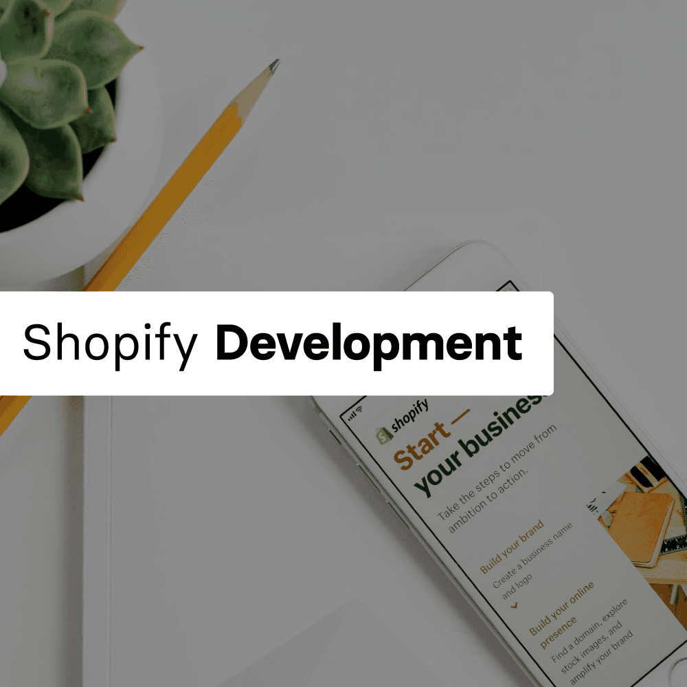 Shopify Web Development